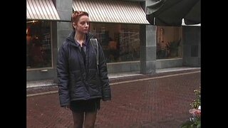 Alkmaarda seks Alkmaarda seks