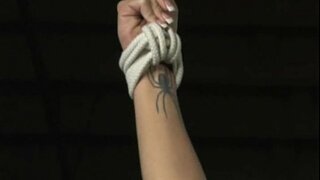 Armonie - Curvă Instruire - film Complet